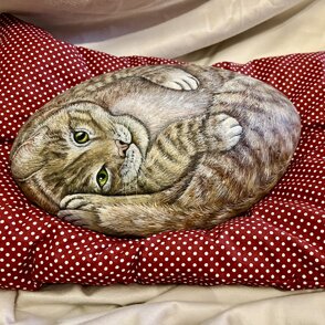 gatto rosso pancia in su